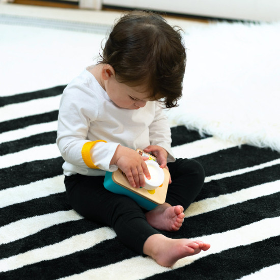 Učenie farieb je hračkou s hračkou fotoaparát Baby Einstein.