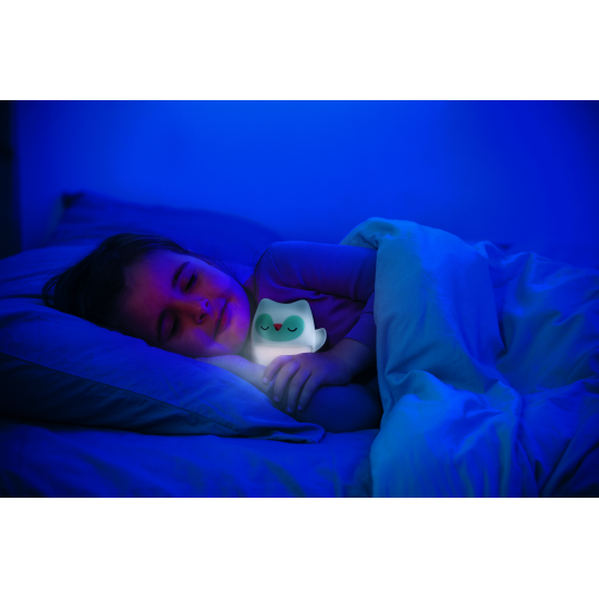 Sada nočnej lampičky so svietiacim maznáčikom pomôže vášmu dieťaťu pri samostatnom zaspávaní v postieľke.