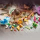 LEGO DUPLO 10472 Hravé stavanie zvieratiek