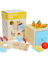 Montessori box 4v1