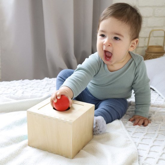 Montessori box Vkladačka 4v1 Didaktická hračka Tooky Toy