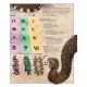 Všetko, čo potrebuješ vedieť o číslach vysvetlené mamutmi. Originálna príručka zavedie deti do sveta matematiky, aby ich zasvätila do jej základov.
