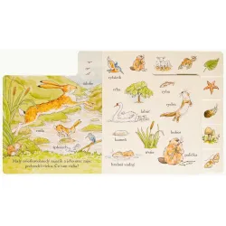 Hádaj, ako veľmi ťa mám rád! Tu a tam Spoznávam