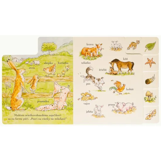 Hádaj, ako veľmi ťa mám rád! Tu a tam Spoznávam