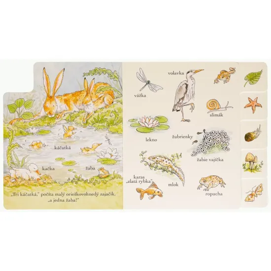 Hádaj, ako veľmi ťa mám rád! Tu a tam Spoznávam