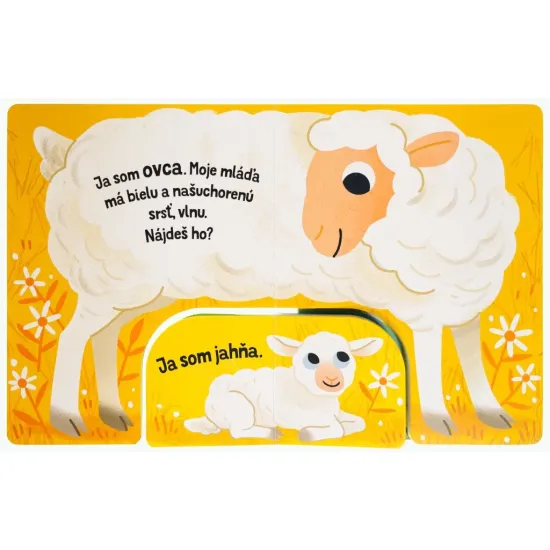 Nájdi mláďa Farma