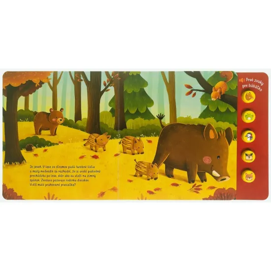 Čo počuješ v lese? Prvé zvuky pre bábätko