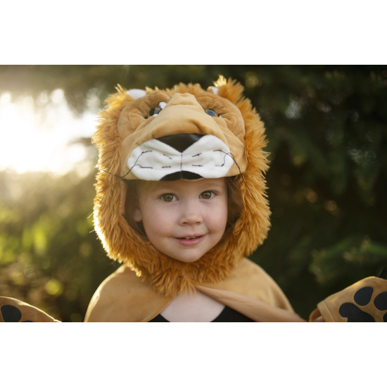Kostým Lev (vek 2-3 roky)