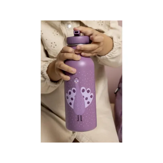 Fľaša Páv 500 ml