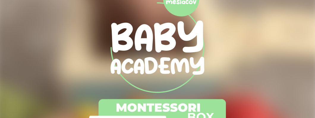 BABY ACADEMY - Montessori box Vkladačka 4v1