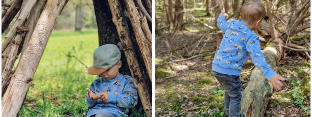 7 tipov ako zabaviť deti v lese