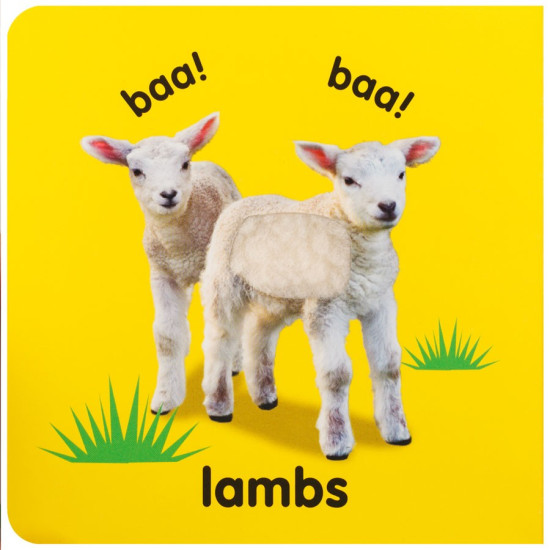 Leporelo Baby Animals rozšíri vašemu bábätku slovnú zásobu o to, ako sa volajú mláďatká známych zvieratiek. 
