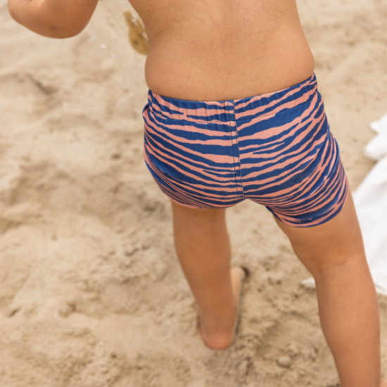 Detské chlapčenské plavky Boxerky s UPF 50+ Zebra Swim Essentials