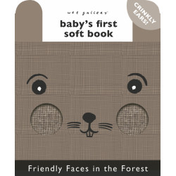 Friendly Faces Forest Babys First Soft Book