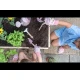 Detská sada záhradného náradia Fairy Garden s drevenými rukoväťami a jemnou potlačou