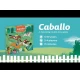 Strategická spoločenská hra Caballo