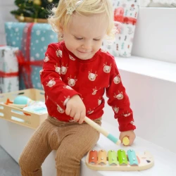 Hudobná sada Zvieratká