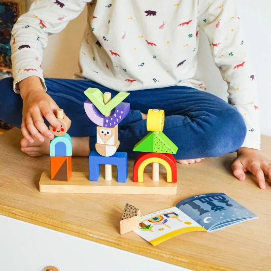 Nasadzovanie Tiene Logická hra pre deti Tooky Toy