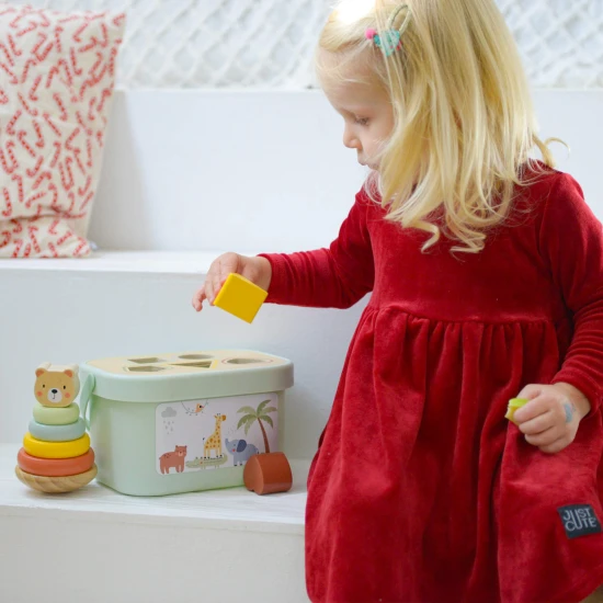 Sada drevených hraciek pre deti 3 v 1