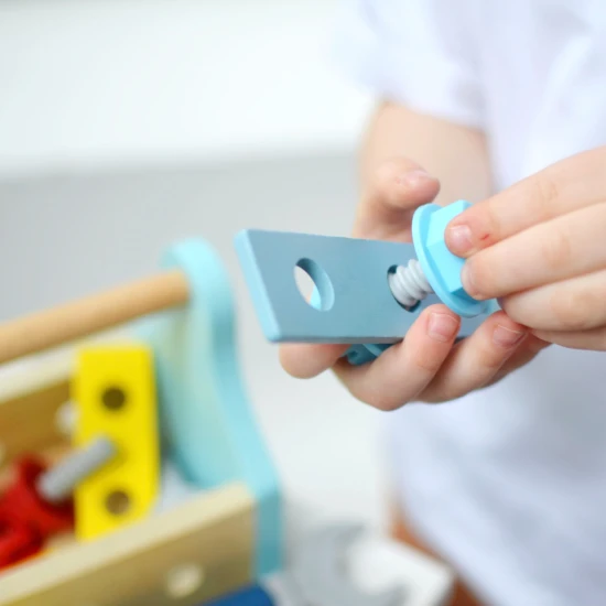 Drevené náradie pre deti v prenosnom boxe Tooky Toy