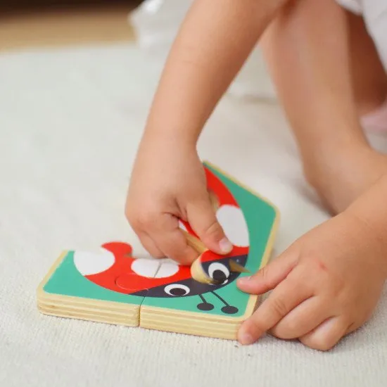 19–24 mesiacov Edukačný box Maxi Didaktické hračky do 2 rokov Tooky Toy