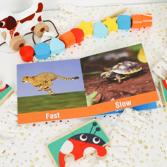 19–24 mesiacov Edukačný box Maxi Didaktické hračky do 2 rokov Tooky Toy