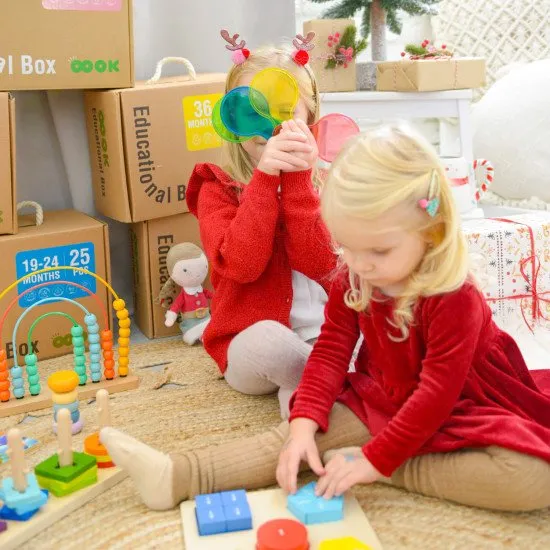 25–36 mesiacov Edukačný box Didaktické hračky od 2 rokov Tooky Toy