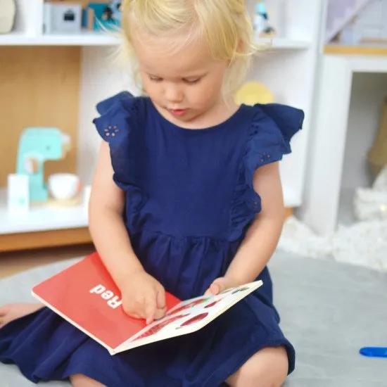 25–36 mesiacov Edukačný box Didaktické hračky od 2 rokov Tooky Toy