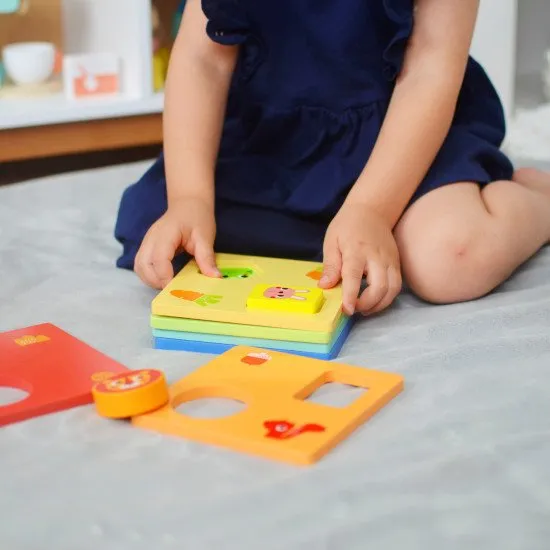 25–36 mesiacov Edukačný box Didaktické hračky od 2 rokov Tooky Toy