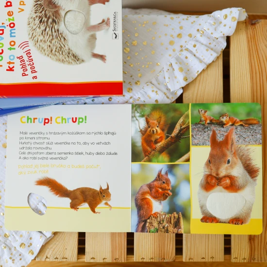 Ako robí jeleň? A ako diviak? Pohladkaj si ich jemnú srsť a zisti, ako robia.