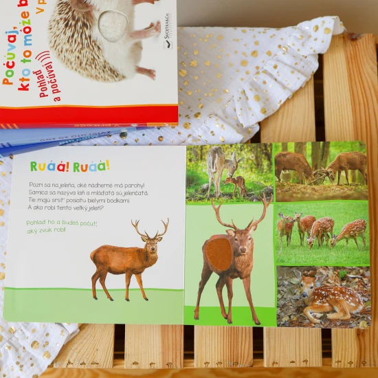 Ako robí jeleň? A ako diviak? Pohladkaj si ich jemnú srsť a zisti, ako robia.