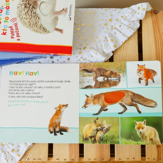 Ako robí jeleň? A ako diviak? Pohladkaj si ich jemnú srsť a zisti, ako robia.