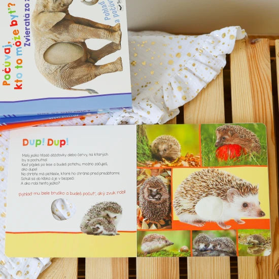 Ako robí červienka? A ako vážka? Pohladkaj si ich a zisti, ako robia.