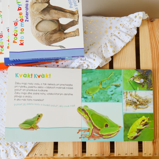 Ako robí červienka? A ako vážka? Pohladkaj si ich a zisti, ako robia.