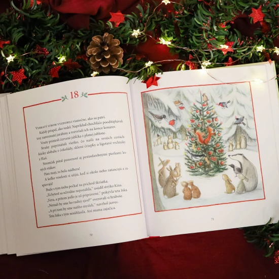 Nádherný vianočný príbeh na každý adventný deň plná zvieratiek.