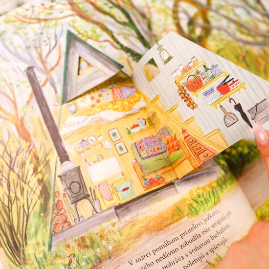 Myšiakov les: Rok v prírode opisuje život myšiaka v lese počas jednotlivých mesiacov a ročných období.