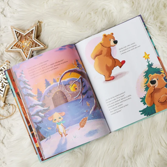 Medveď sa po prvý raz neuložil na zimný spánok a rozhodol sa stráviť Vianoce so svojimi kamarátmi. Vianočný príbeh o kamarátstve a vzájomnej pomoci.