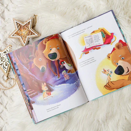 Medveď sa po prvý raz neuložil na zimný spánok a rozhodol sa stráviť Vianoce so svojimi kamarátmi. Vianočný príbeh o kamarátstve a vzájomnej pomoci.