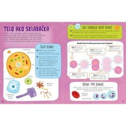 Svietia v tme Ľudské telo