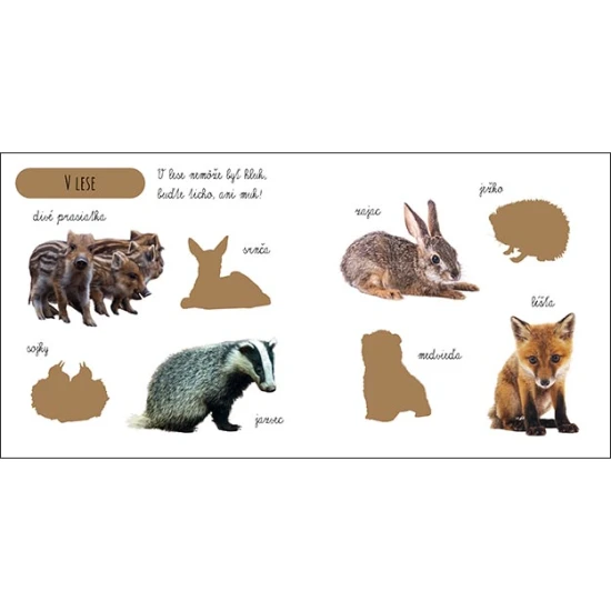 Knižka, ktorá učí deti poznávať mláďatká