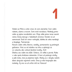 Mimi a Líza - Záhada vianočného svetla