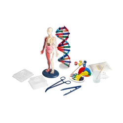 Ľudské telo Albi Science