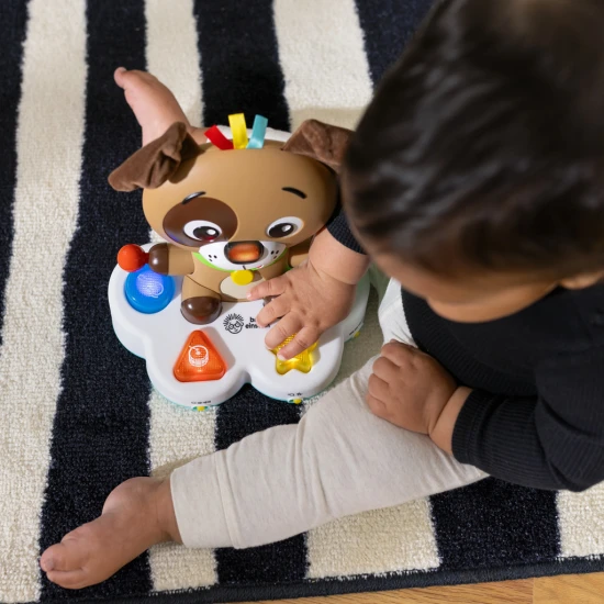 Hračka hudobná vzdelávacia Drum & Learn Dean™ 6m+ Baby Einstein 16830-4