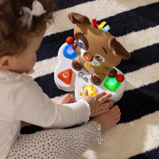 Hračka hudobná vzdelávacia Drum & Learn Dean™ 6m+ Baby Einstein 16830-4