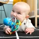 Hryzačka/hrkálka Opus’s Shake & Soothe™ 0m+ Baby Einstein 13157-6