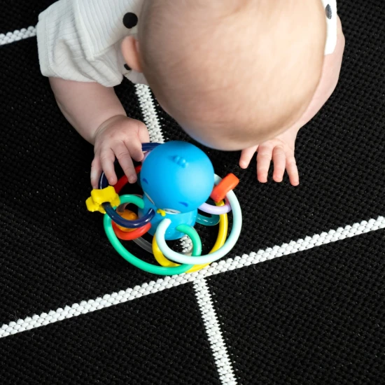 Hryzačka/hrkálka Opus’s Shake & Soothe™ 0m+ Baby Einstein 13157-6