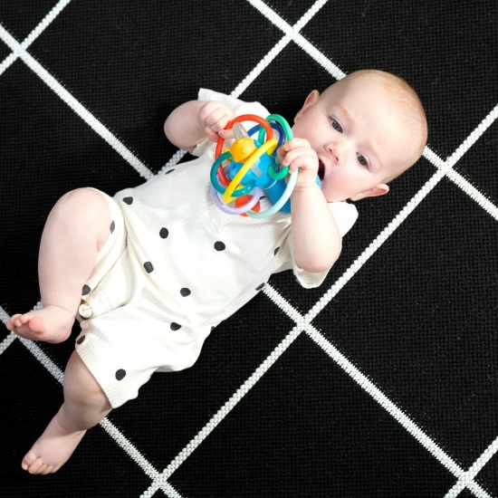 Hryzačka/hrkálka Opus’s Shake & Soothe™ 0m+ Baby Einstein 13157-6