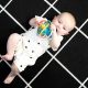 Hryzačka/hrkálka Opus’s Shake & Soothe™ 0m+ Baby Einstein 13157-6