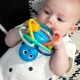 Hryzačka/hrkálka Opus’s Shake & Soothe™ 0m+ Baby Einstein 13157-6