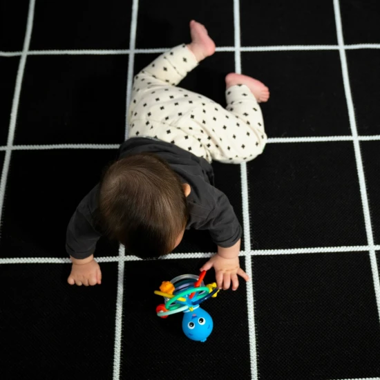 Hryzačka/hrkálka Opus’s Shake & Soothe™ 0m+ Baby Einstein 13157-6